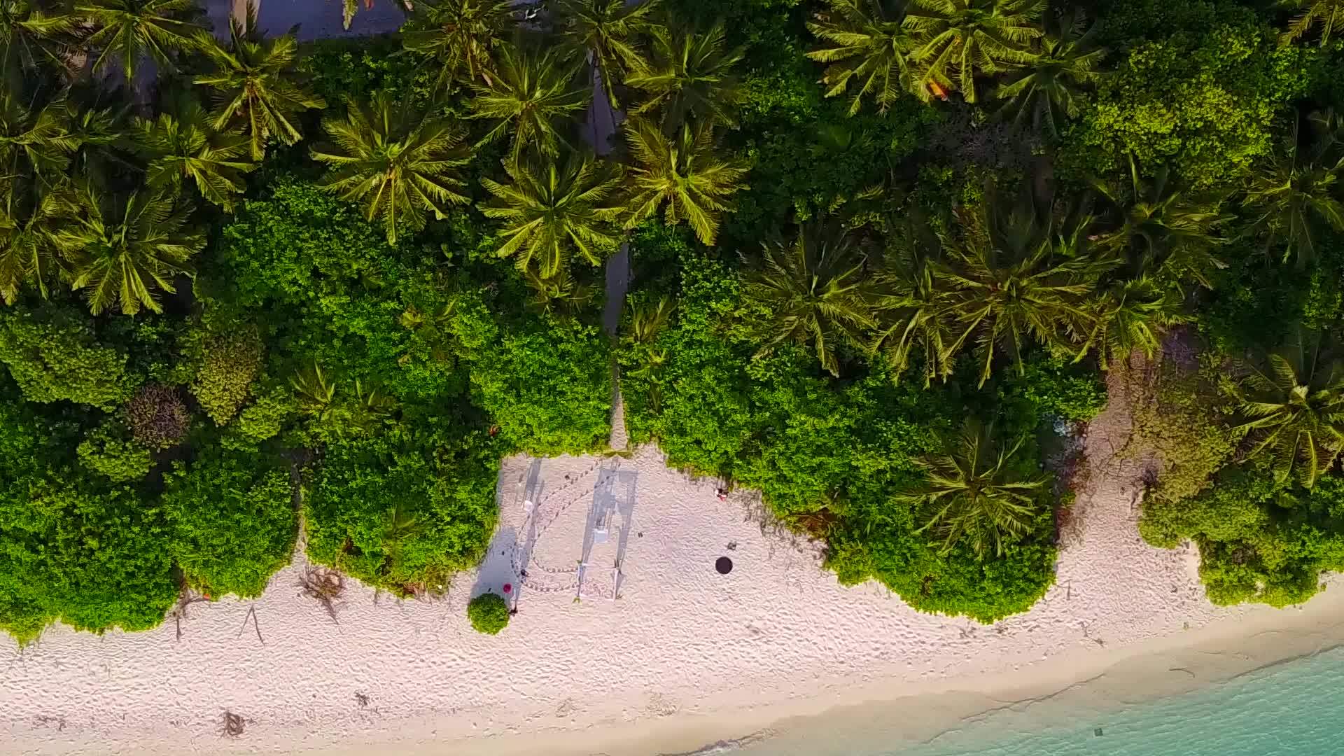 日出后蓝色泻湖热带海滩野生动物的干净沙质背景视频的预览图