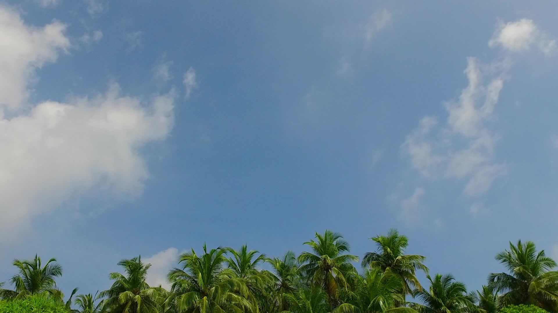 日出后蓝色的海浪在蓝色的海洋和白色的沙面上温暖地旅行视频的预览图