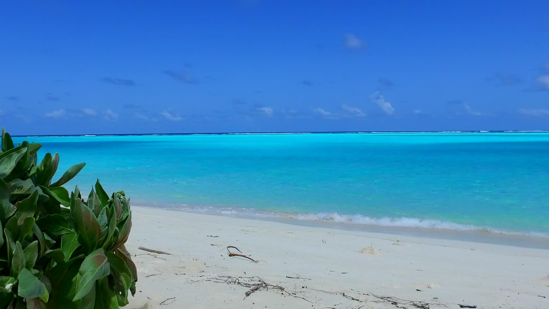 阳光下白沙底浅海海滩探险视频的预览图