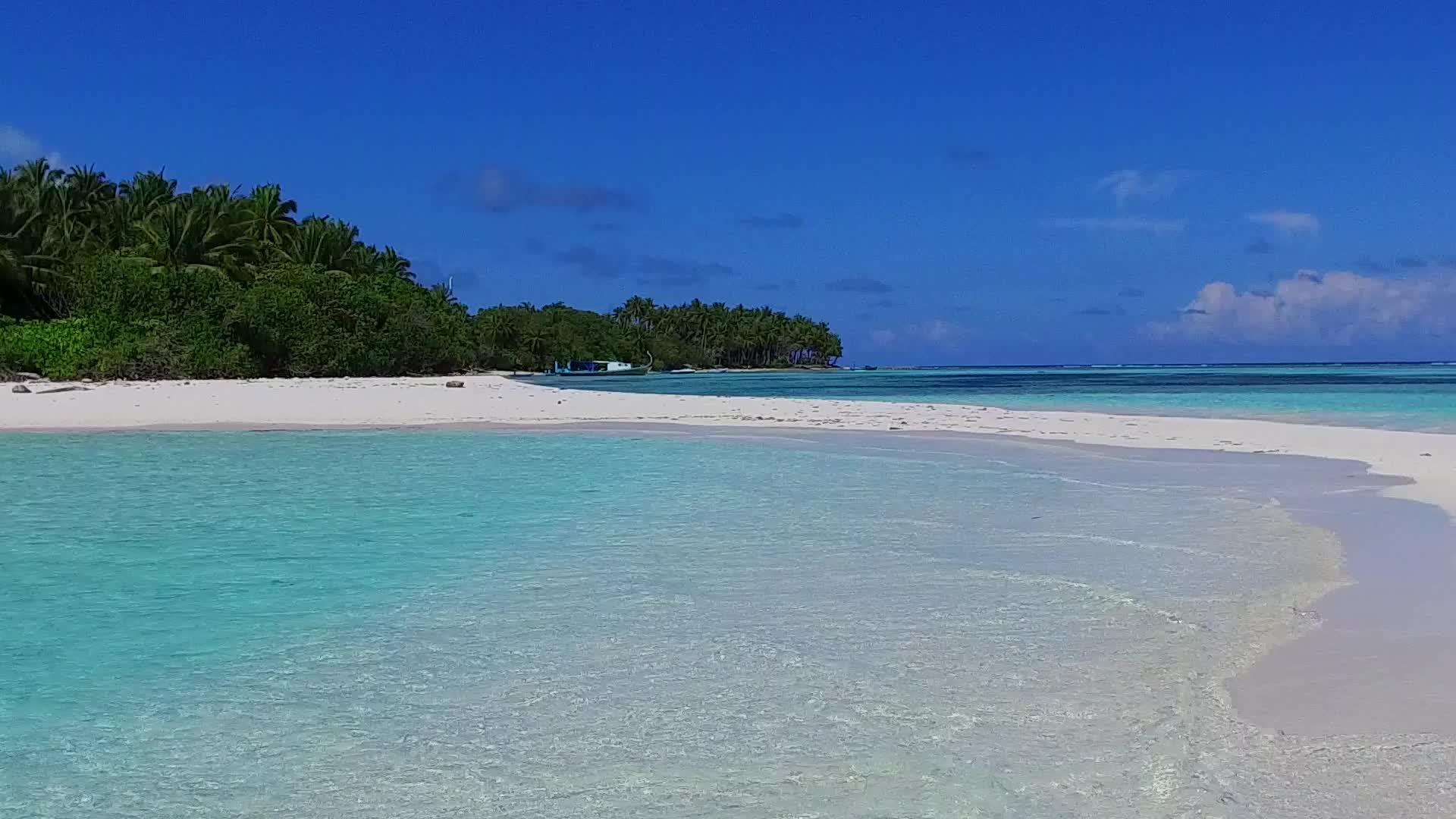 蓝环礁湖有一个干净的沙土背景靠近棕榈树视频的预览图