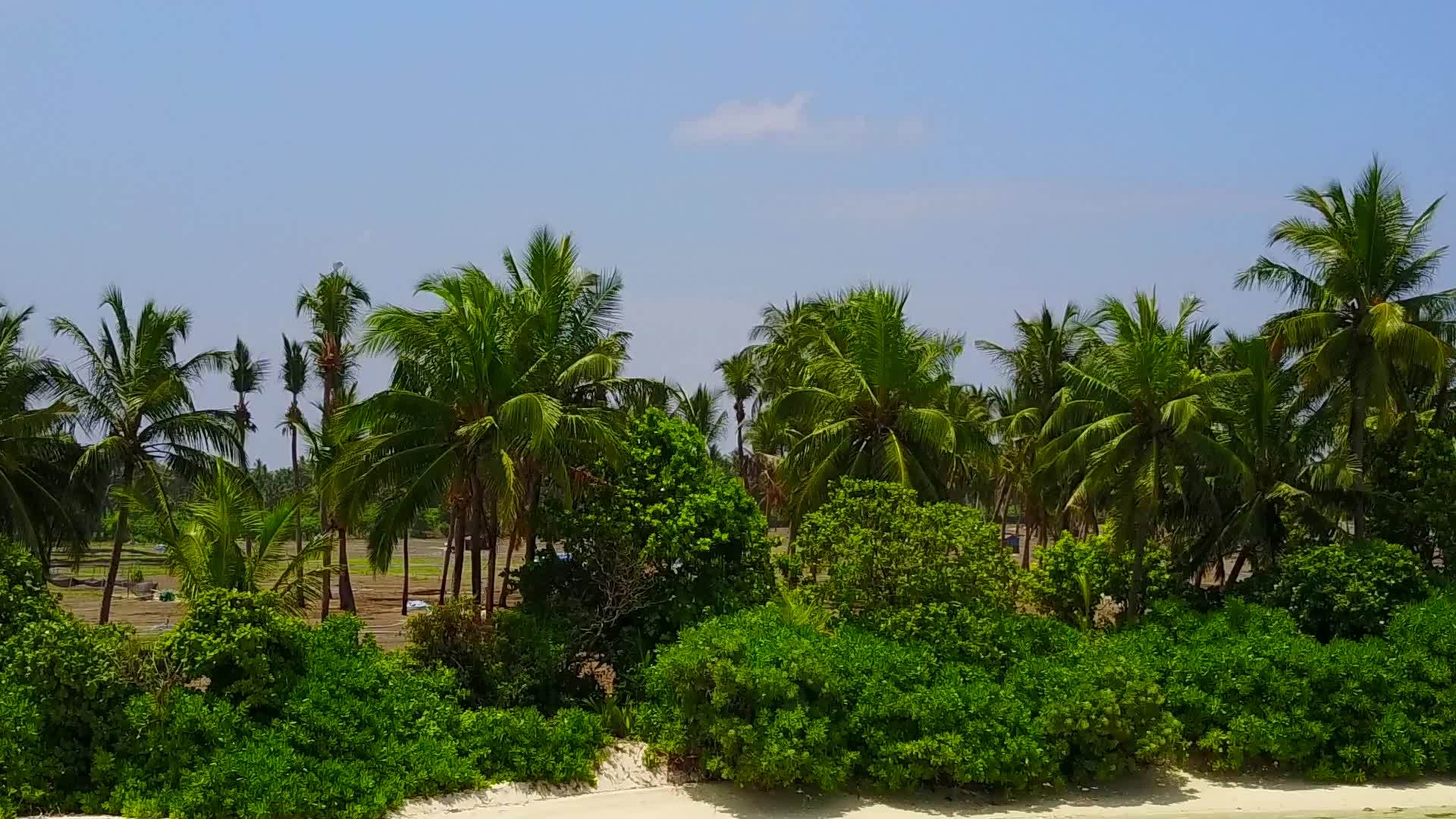 蓝海放松温暖的海景海滩休息摘要沙洲附近有一个白色的沙子背景视频的预览图