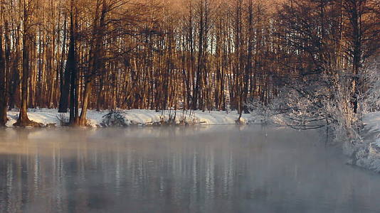 冬季仙境季风景在森林河上视频的预览图