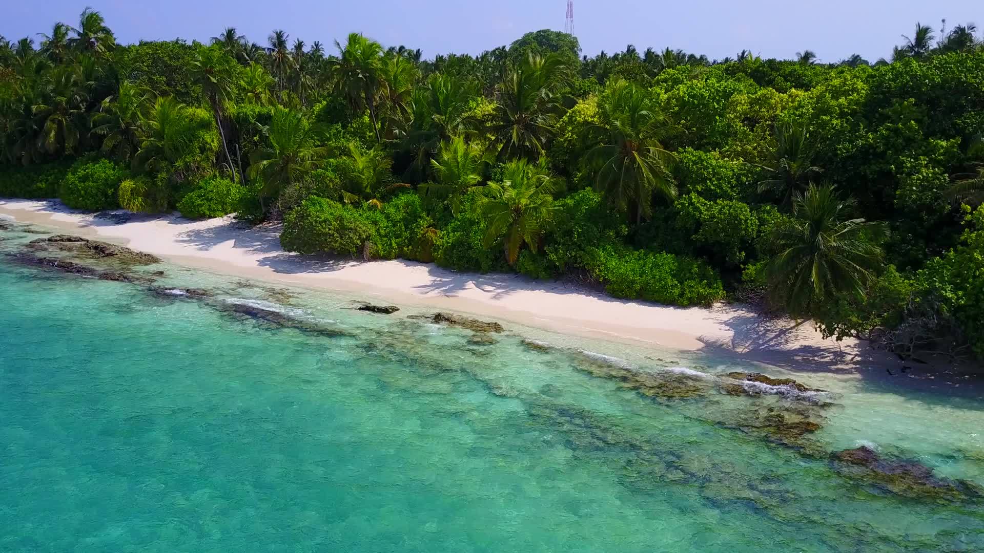 热带海岸线附近有白色沙子背景的松绿水视频的预览图