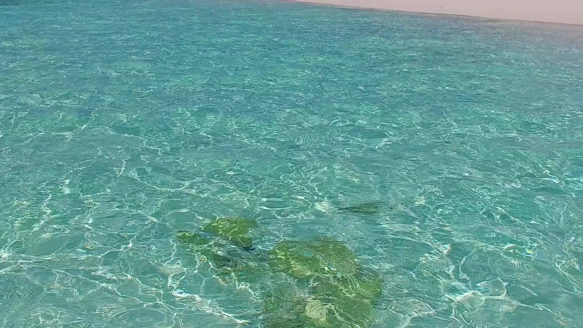 用棕榈树附近白沙背景的透明水复制美丽的泻湖海滩冒险太空视频的预览图