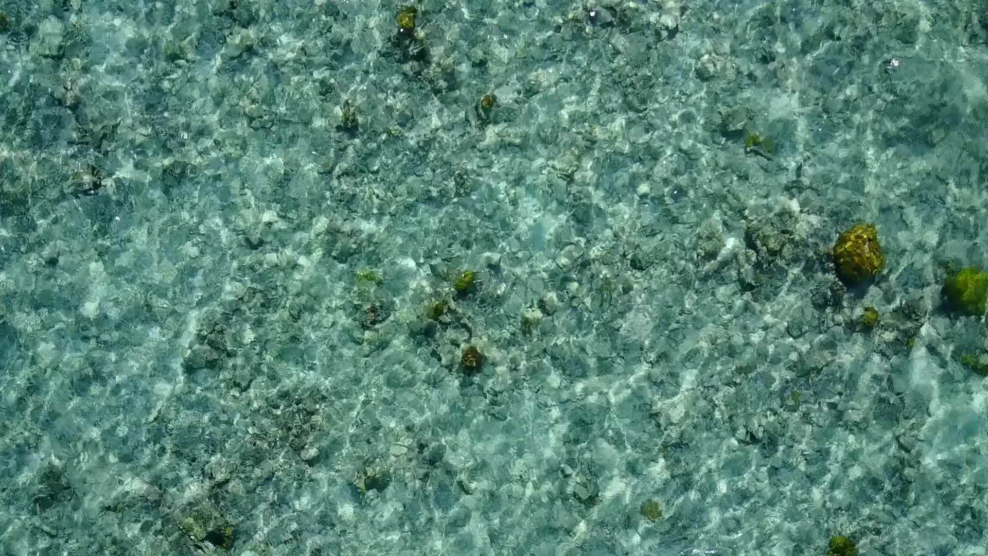 清海阳光下有白色的沙子视频的预览图