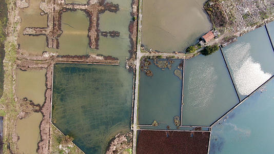 4K航拍农业水田视频的预览图