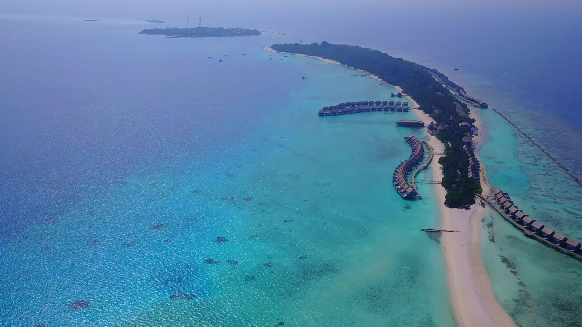 棕榈树附近有一个蓝色的环礁湖有一个白色的海滩背景视频的预览图