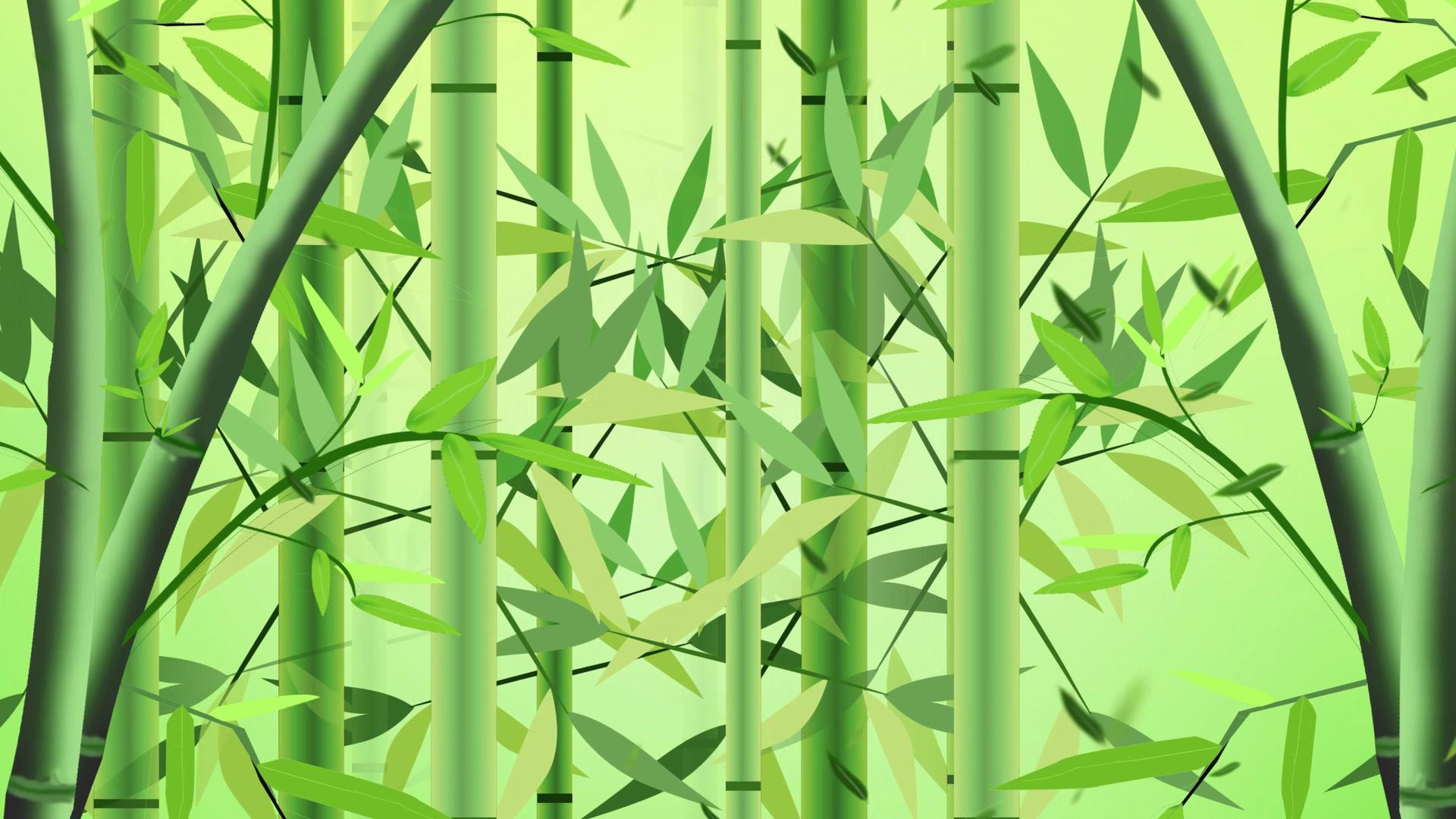 4K竹子竹林背景视频视频的预览图