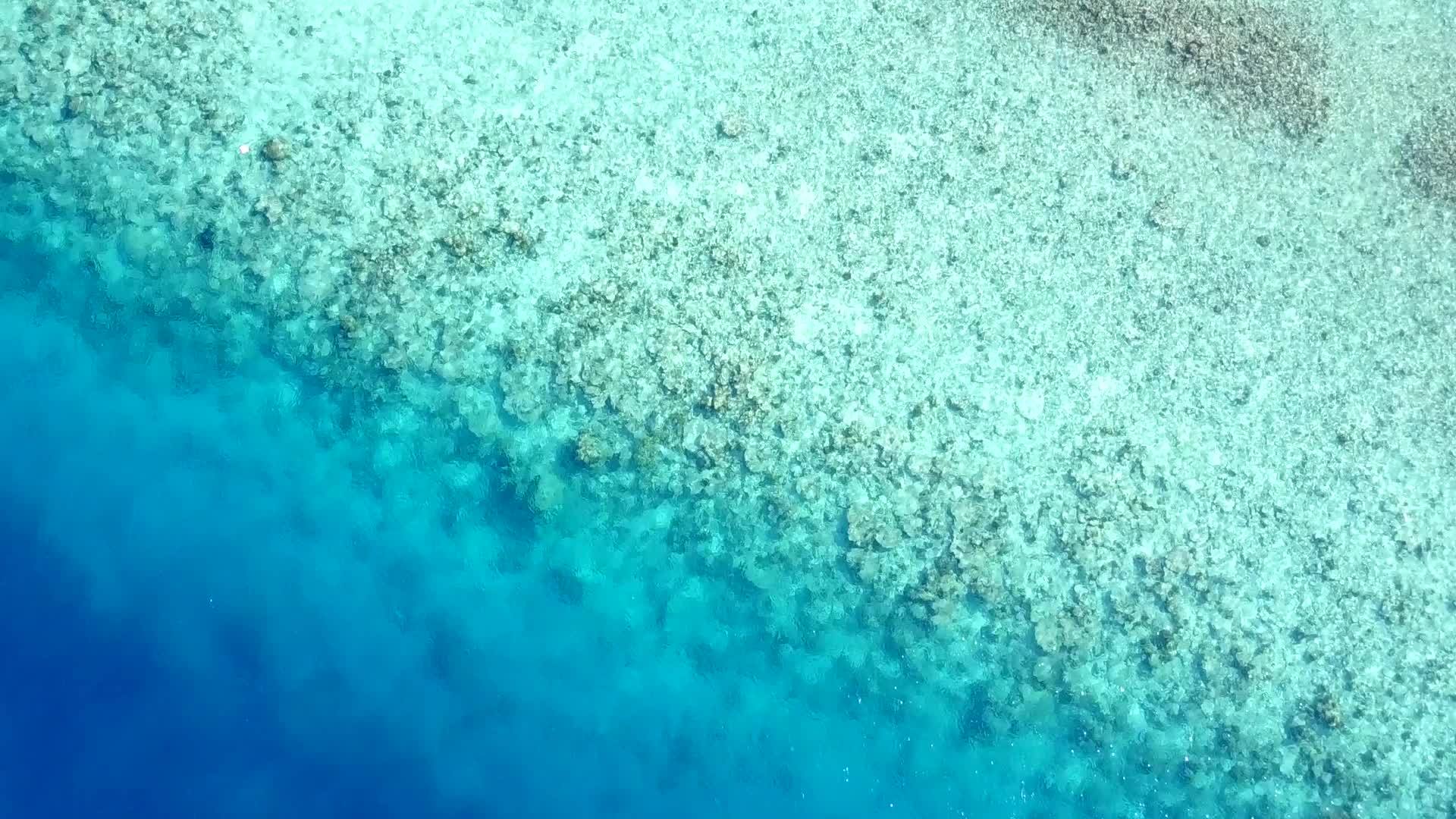 蓝色泻湖复制热带旅游海滩时间沙洲附近有白沙背景视频的预览图