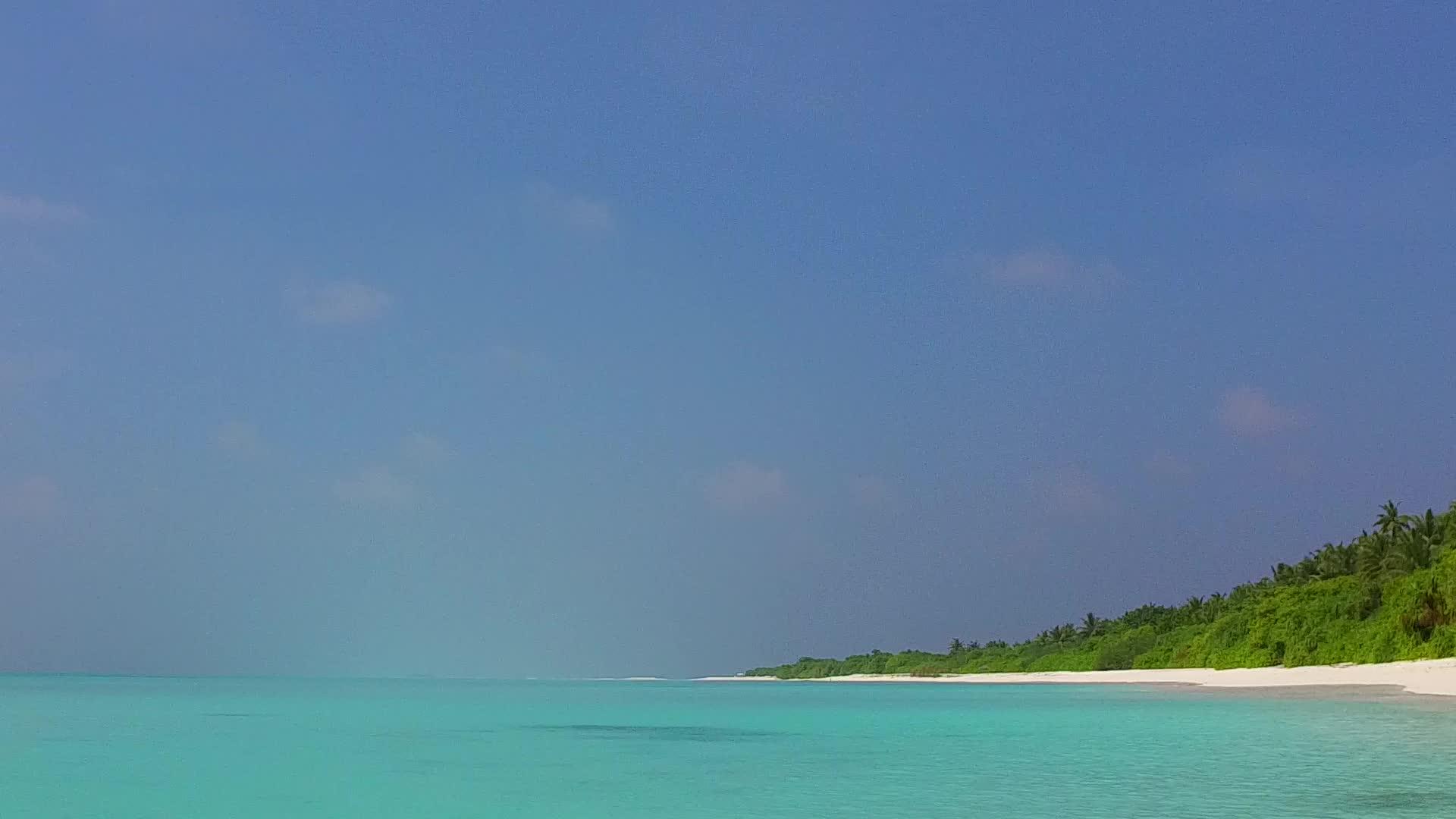 热带海湾海滩野生生物的空海景在海滩附近的清水和白沙视频的预览图