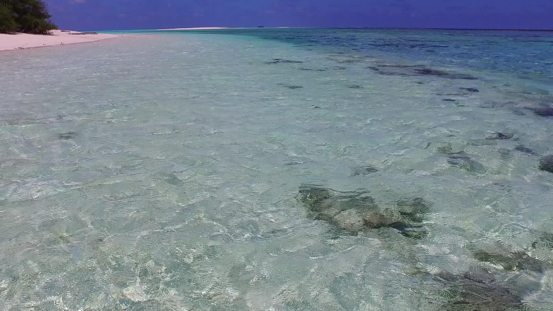 松绿蓝环礁湖环礁湖滨海背景为棕榈树附近的白沙视频的预览图