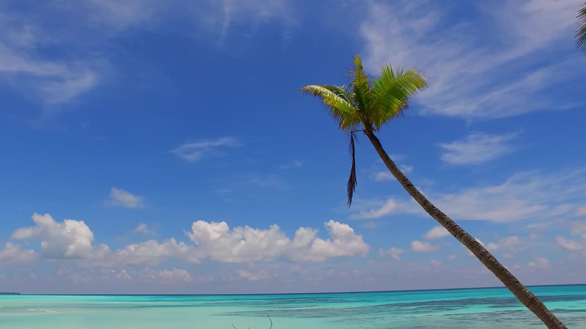 蓝色环礁湖和近波边白沙背景的平静环礁湖海滩时间视频的预览图