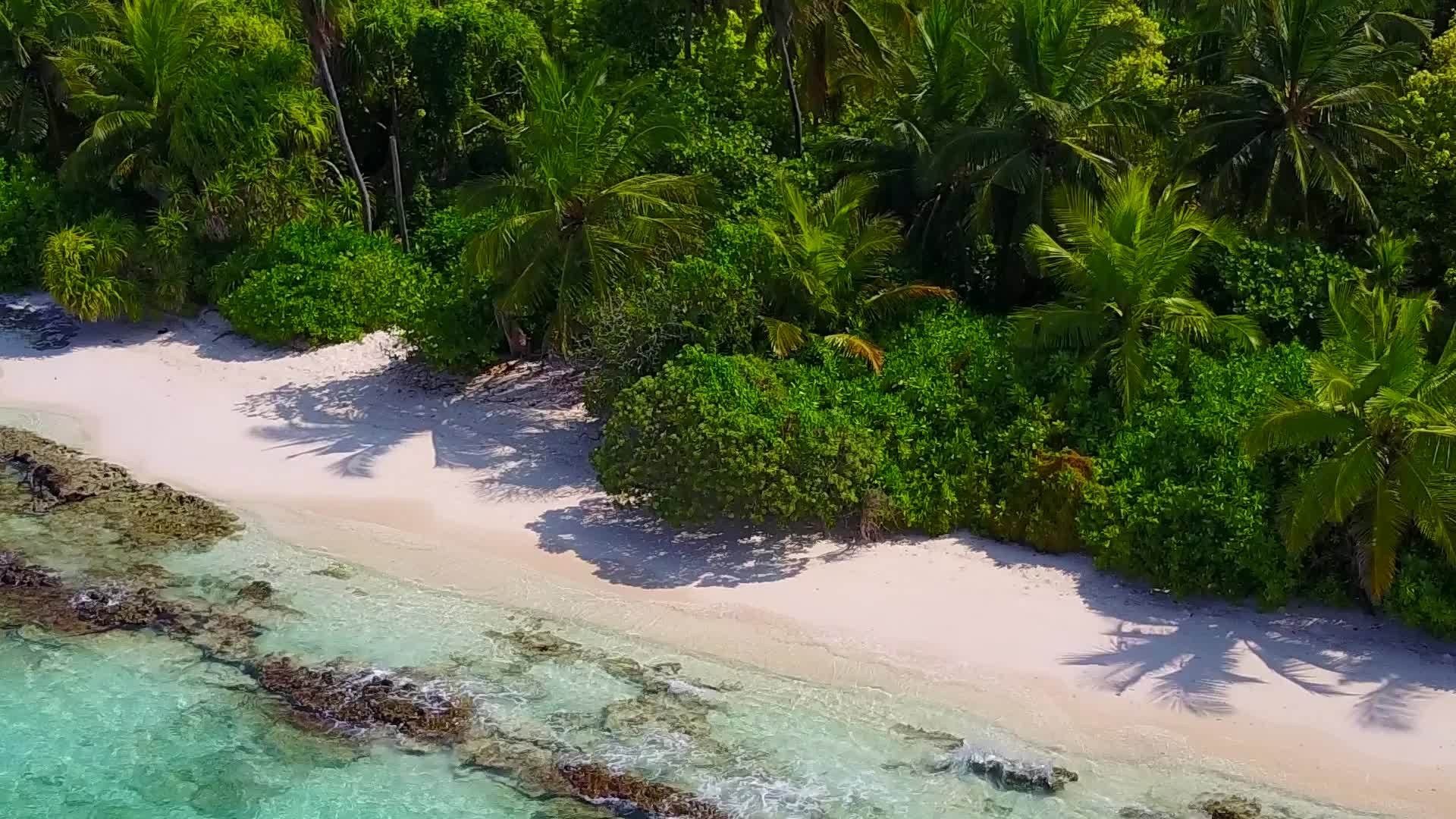 热带度假村海滩白天浅水和暗礁附近的白沙背景视频的预览图