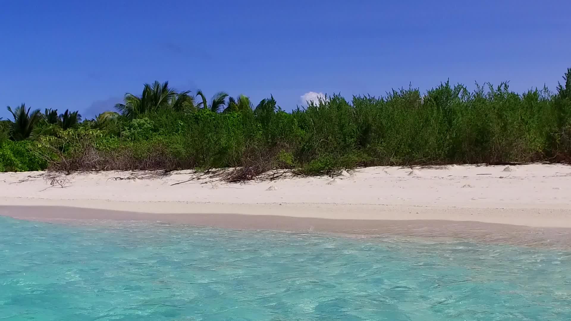平静的岛屿海滩从松绿海和海滩附近的白沙土底部边缘航行视频的预览图