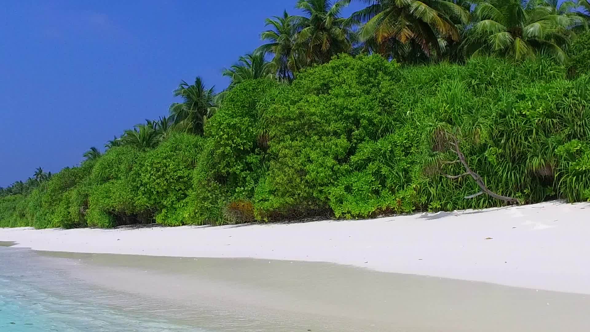蓝海旅游在度假村附近有蓝海和白沙的背景视频的预览图