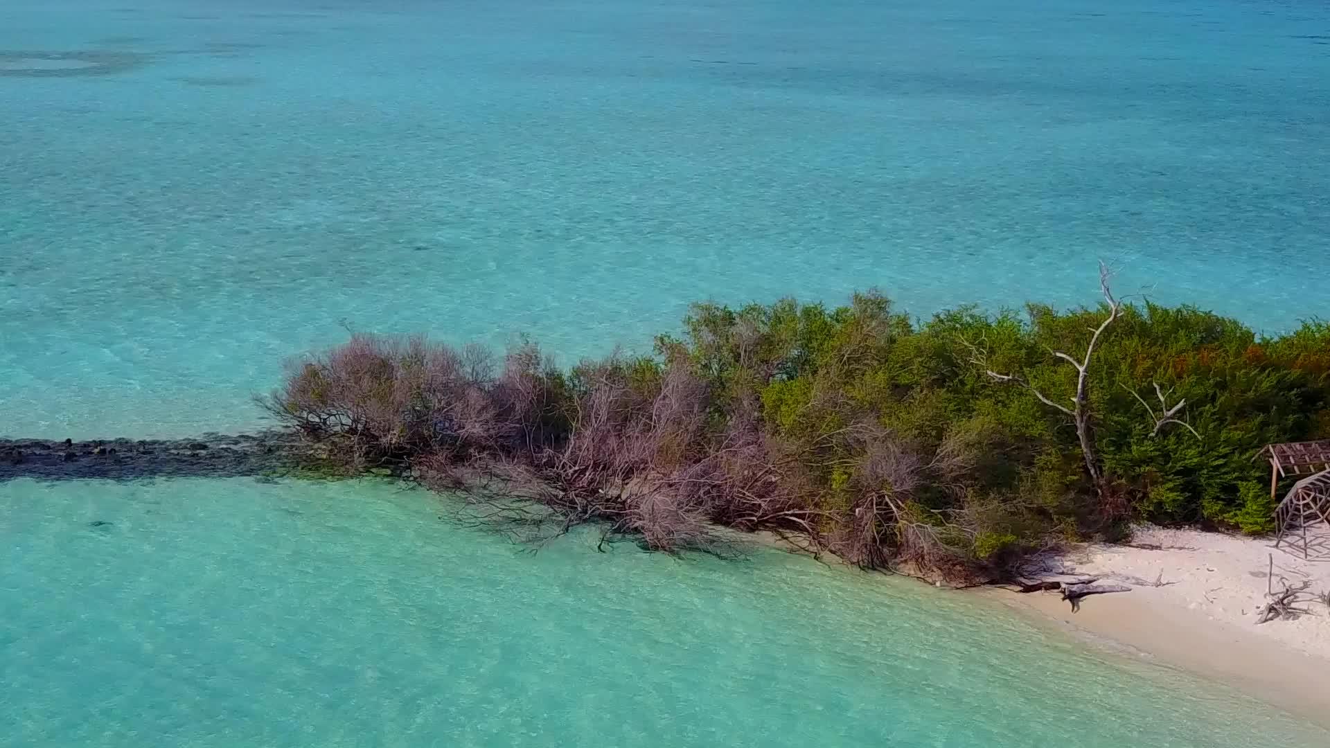 蓝色海洋和棕榈树附近的白色沙滩背景热带海岸线海滩生活方式视频的预览图
