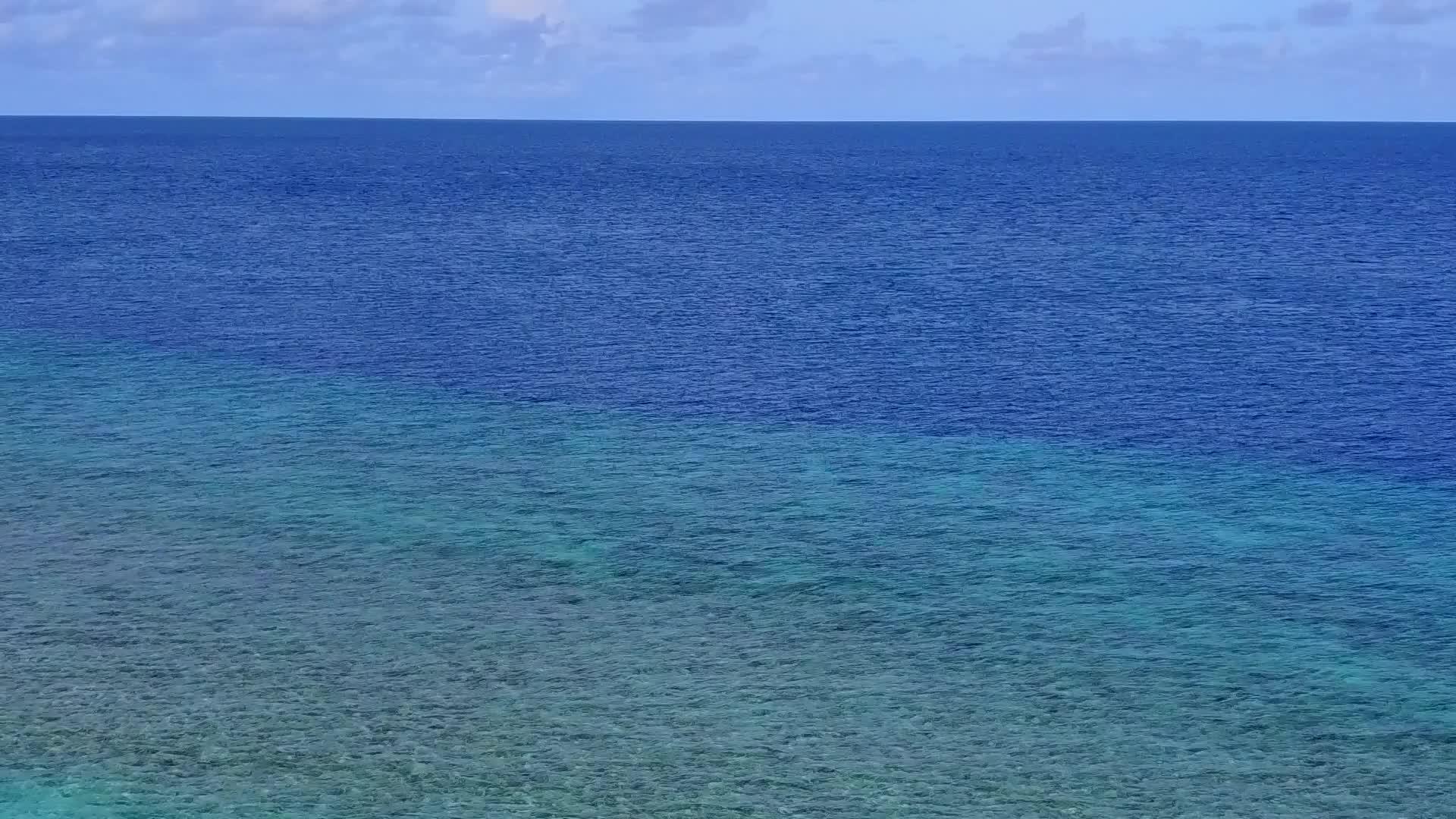 蓝海和白色沙底的背景是棕榈树视频的预览图