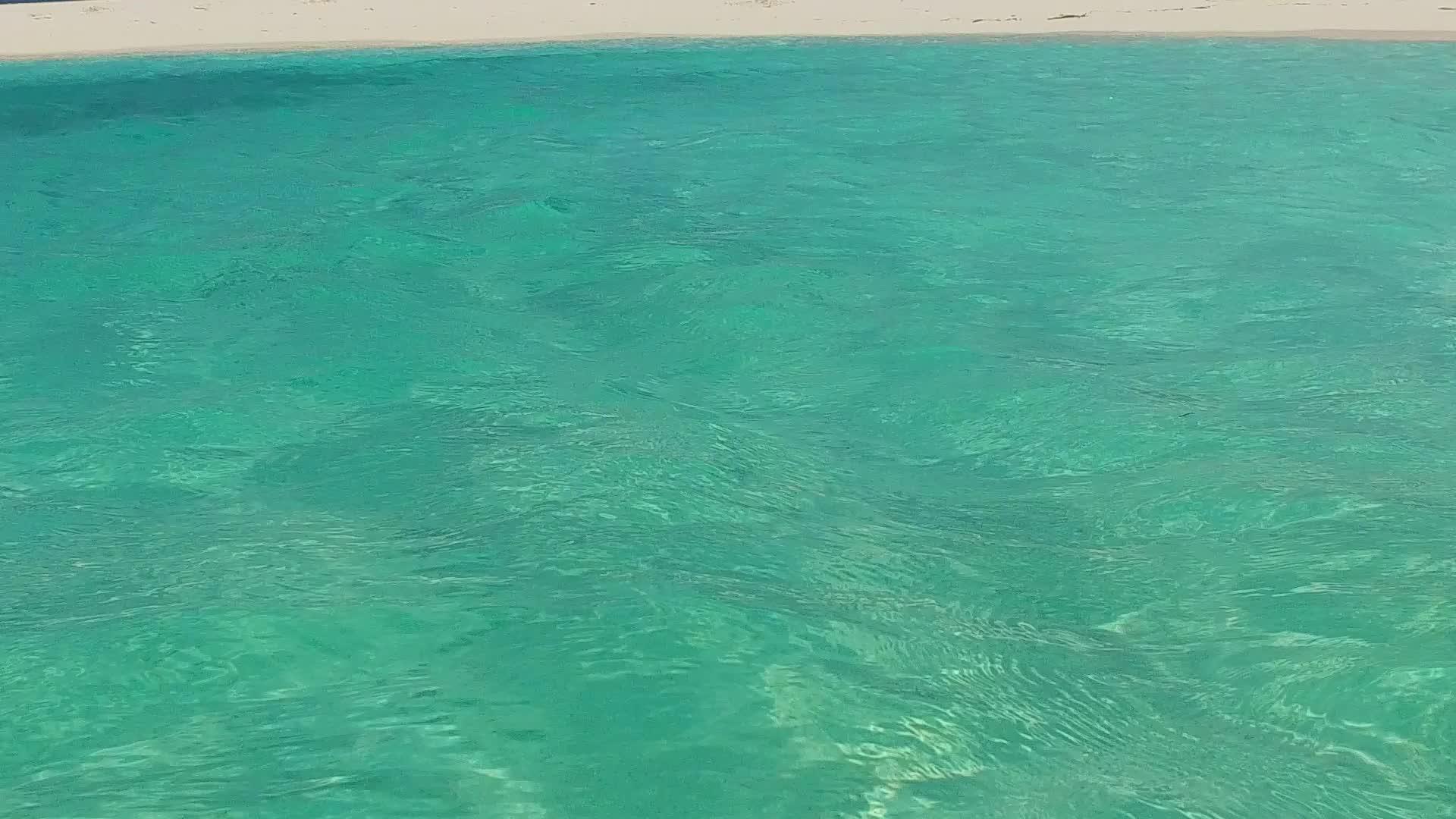 完美的环礁湖和棕榈树附近的白色海滩背景视频的预览图