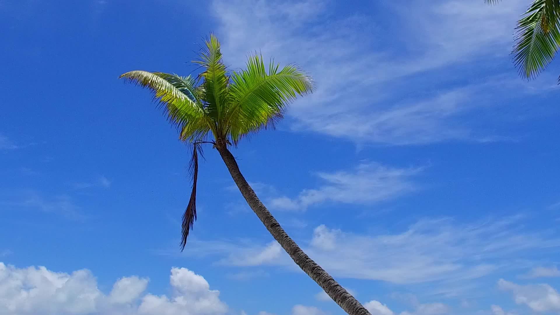 阳光下水蓝色海洋和白色沙滩背景美丽的海湾海滩冒险日间全景视频的预览图