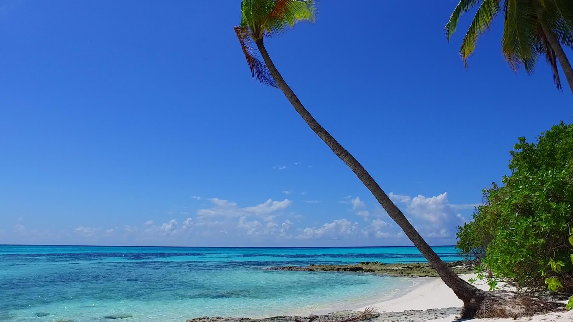 蓝环礁和阳光下白沙背景的宁静度假胜地视频的预览图
