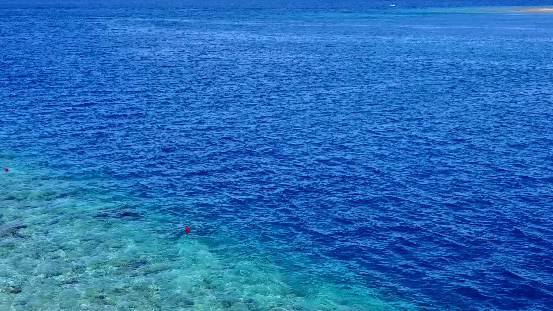 在蓝海潮湿的环礁湖海滩上航行棕榈树附近有干净的沙土背景视频的预览图