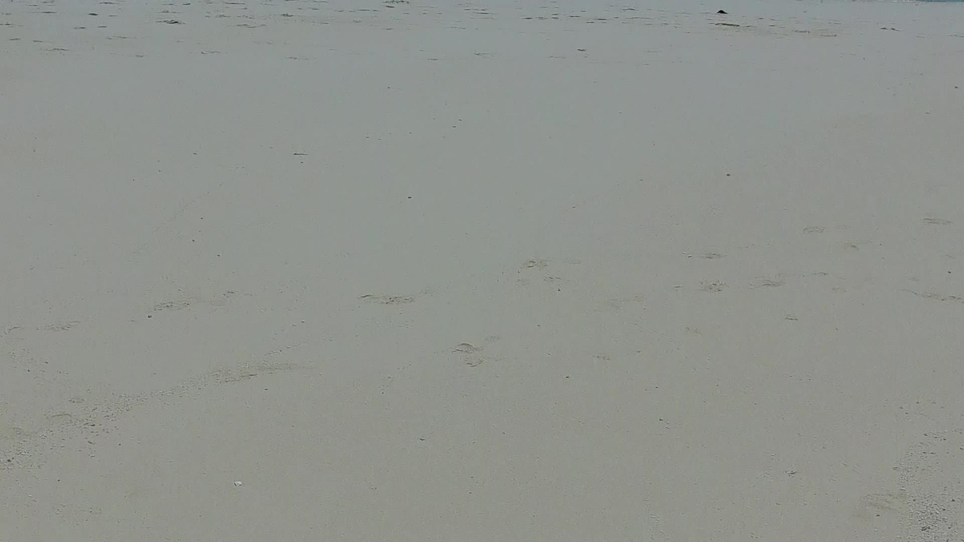 沙洲附近白沙背景的蓝水热带岛屿海滩度假日白天天空视频的预览图