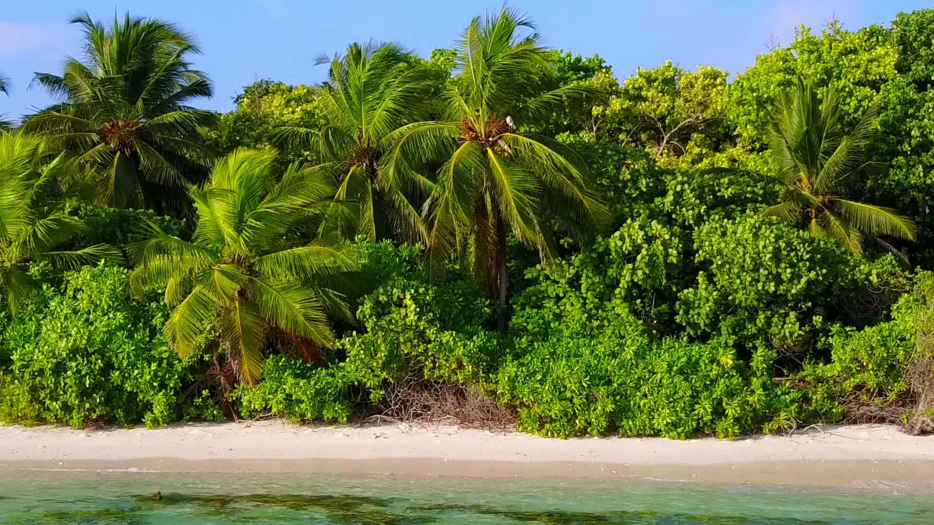 海浪附近的浅水和白色沙滩背景的阳光照亮了奇怪的海滩海滩视频的预览图