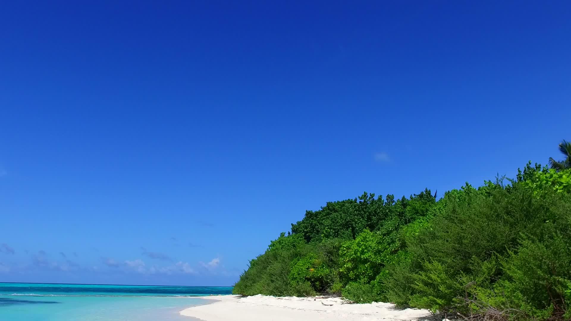 阳光明媚的豪华岛屿海滩全景在绿色海滩附近视频的预览图