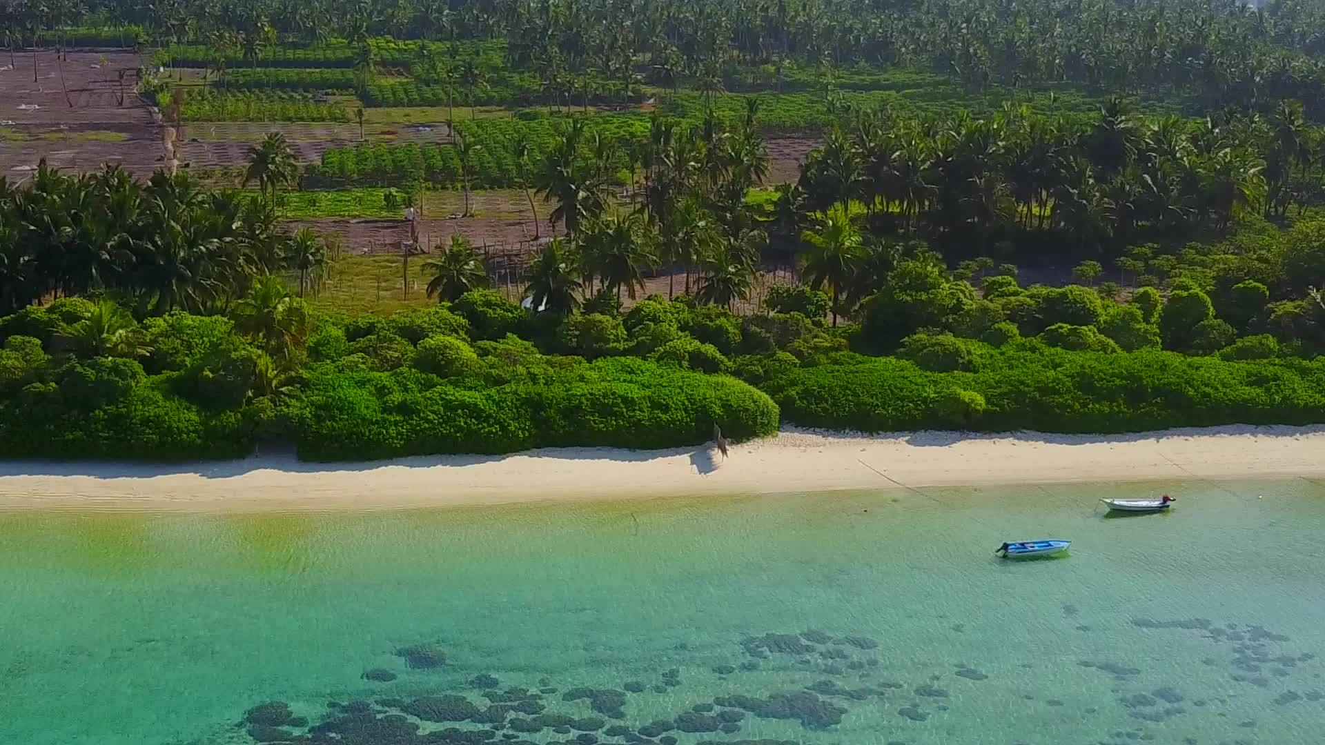 夏季田园诗般的度假海滩旅行摘要靠近海浪的白色海滩背景视频的预览图