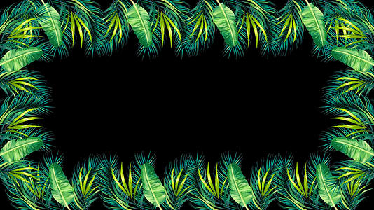 热带植物边框视频的预览图