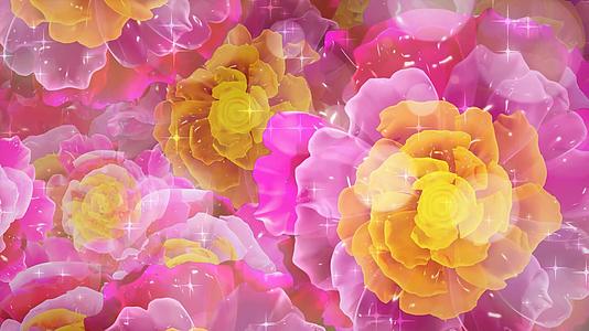 4k粉红黄色花蕊牡丹背景视频的预览图