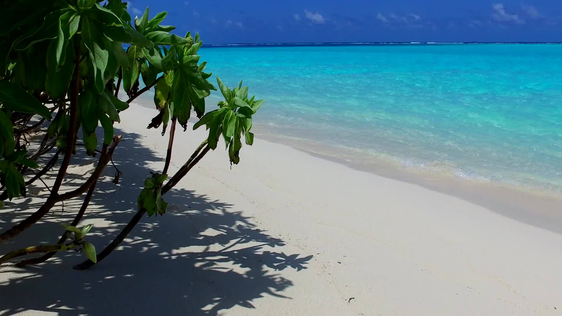 蓝海和沙巴附近干净的沙地背景视频的预览图