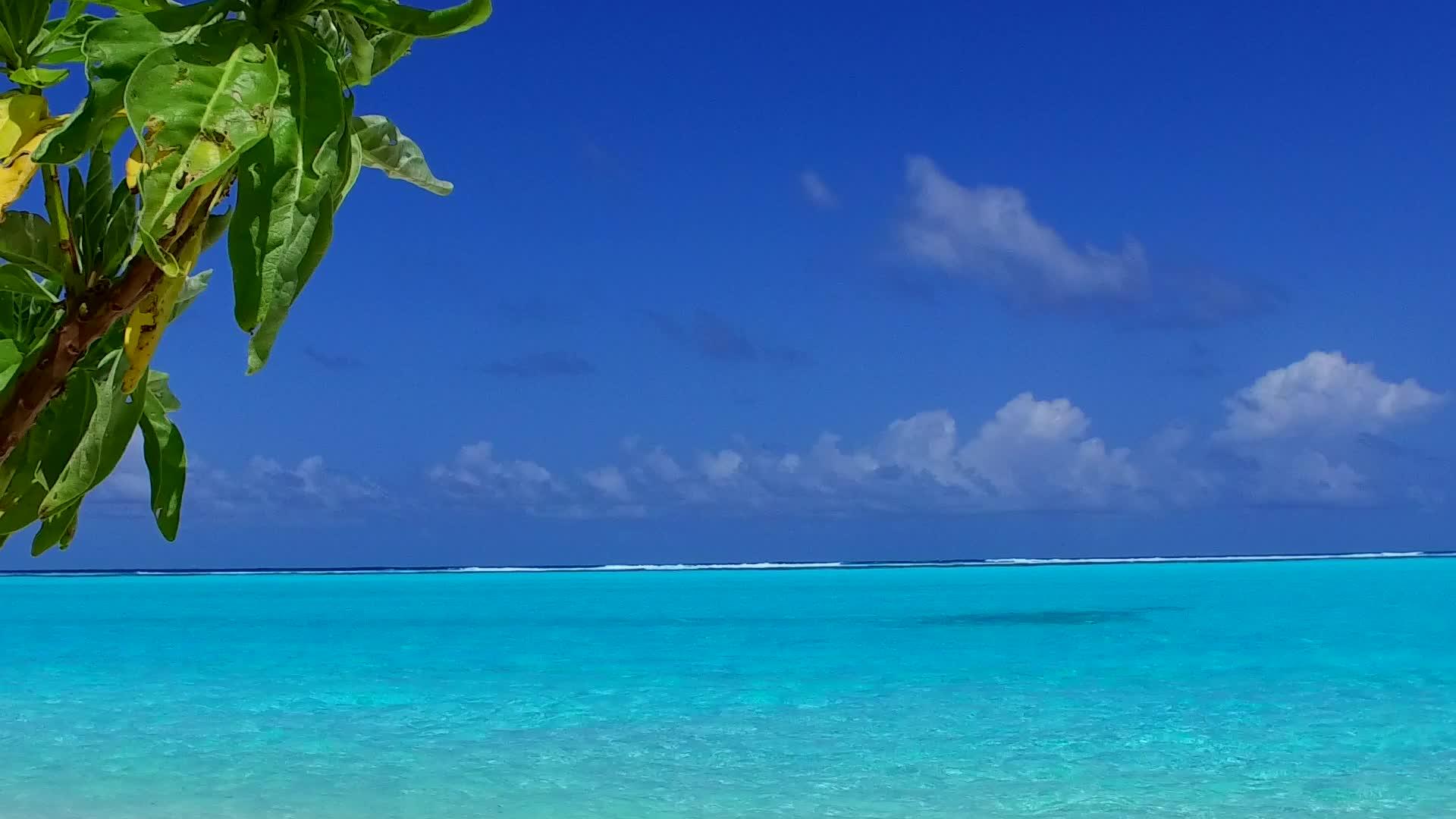 夏季自然海面附近的环礁湖和白色沙滩视频的预览图