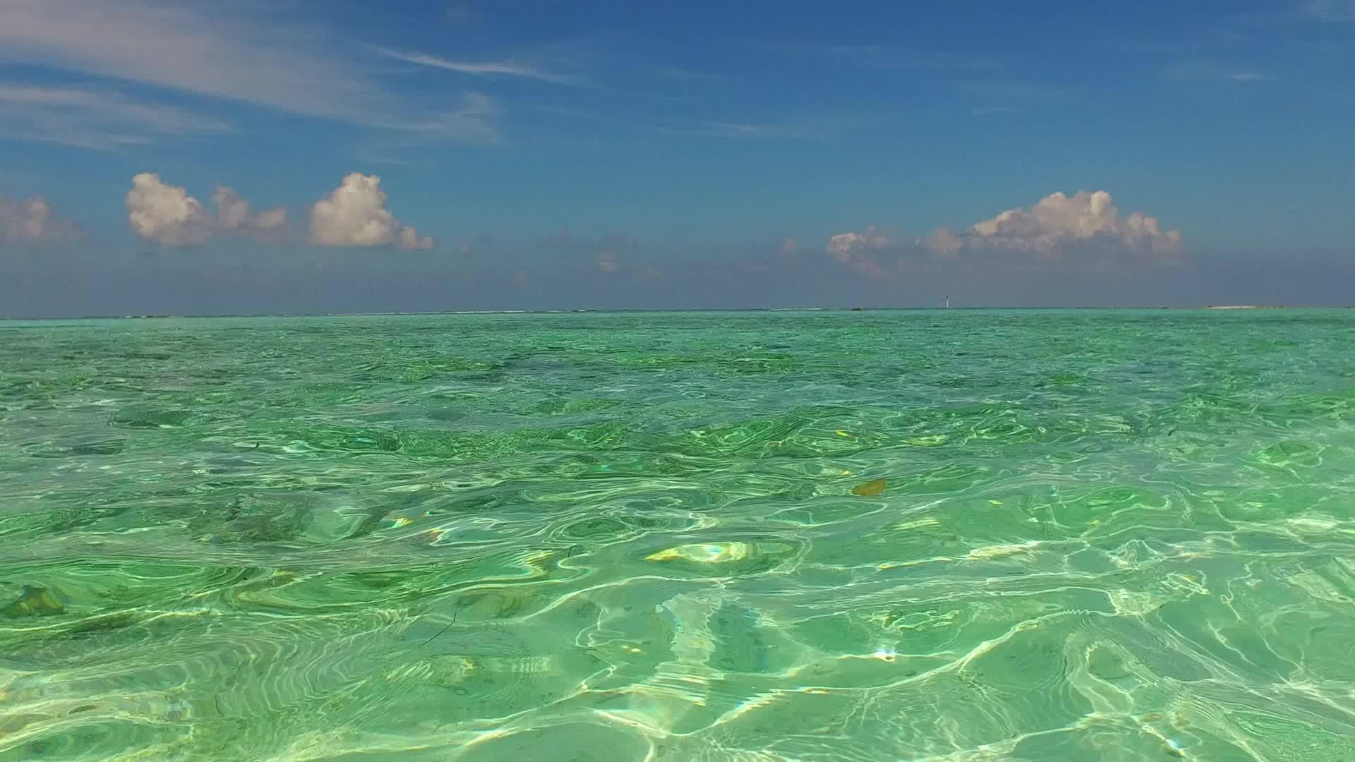 白天旅行在深蓝色的海洋棕榈树附近有一个干净的海滩背景视频的预览图