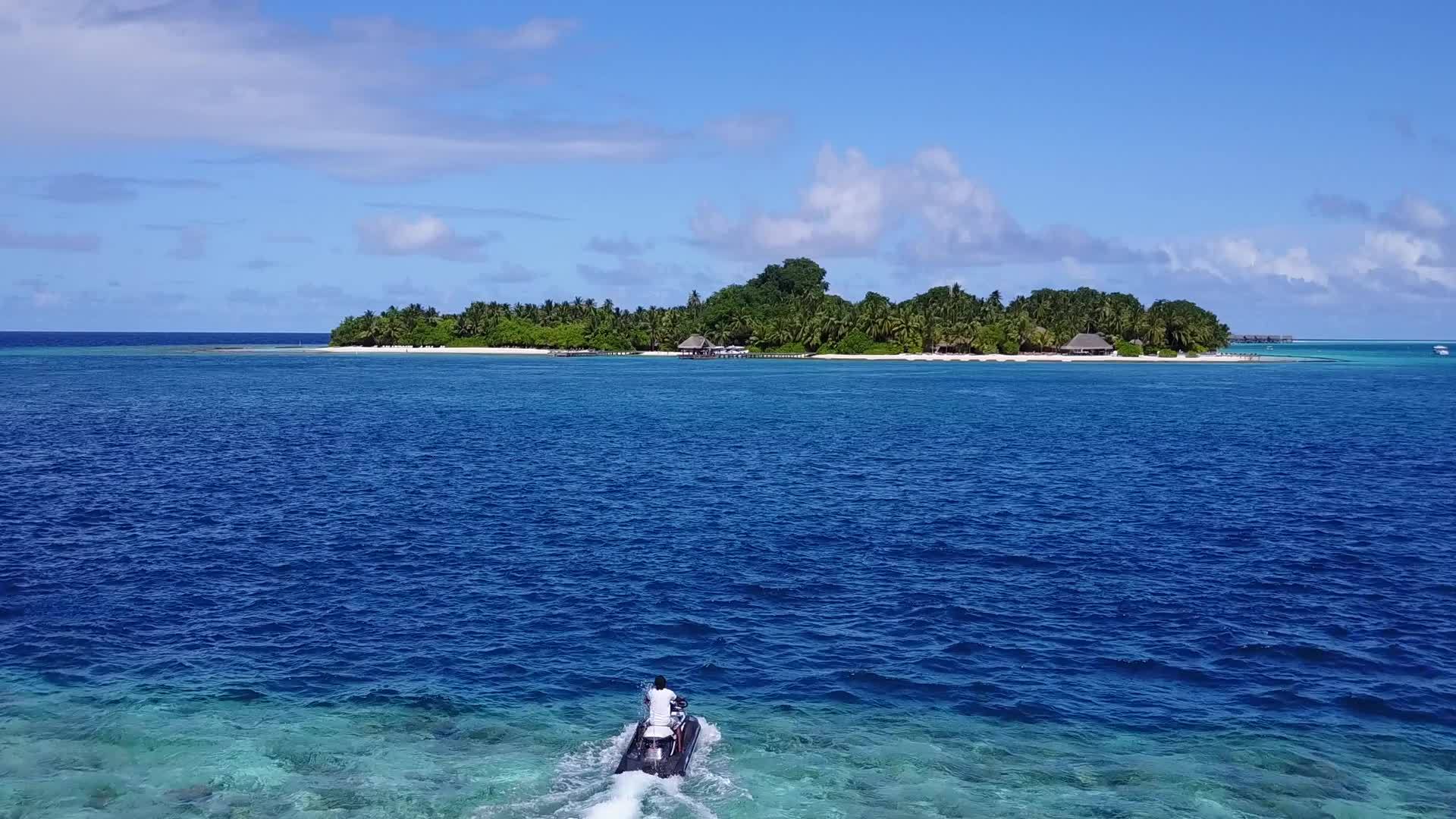 蓝绿环礁湖和沙巴附近的白沙原白沙滩野生生物视频的预览图