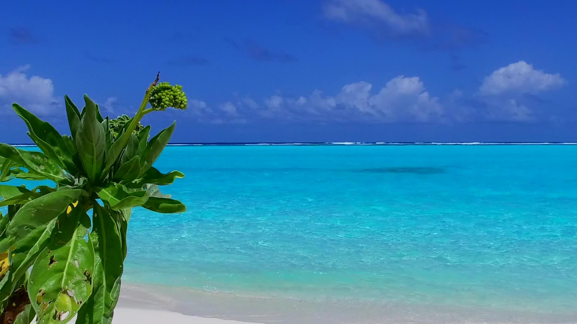 热带海岸海滩靠近沙洲视频的预览图