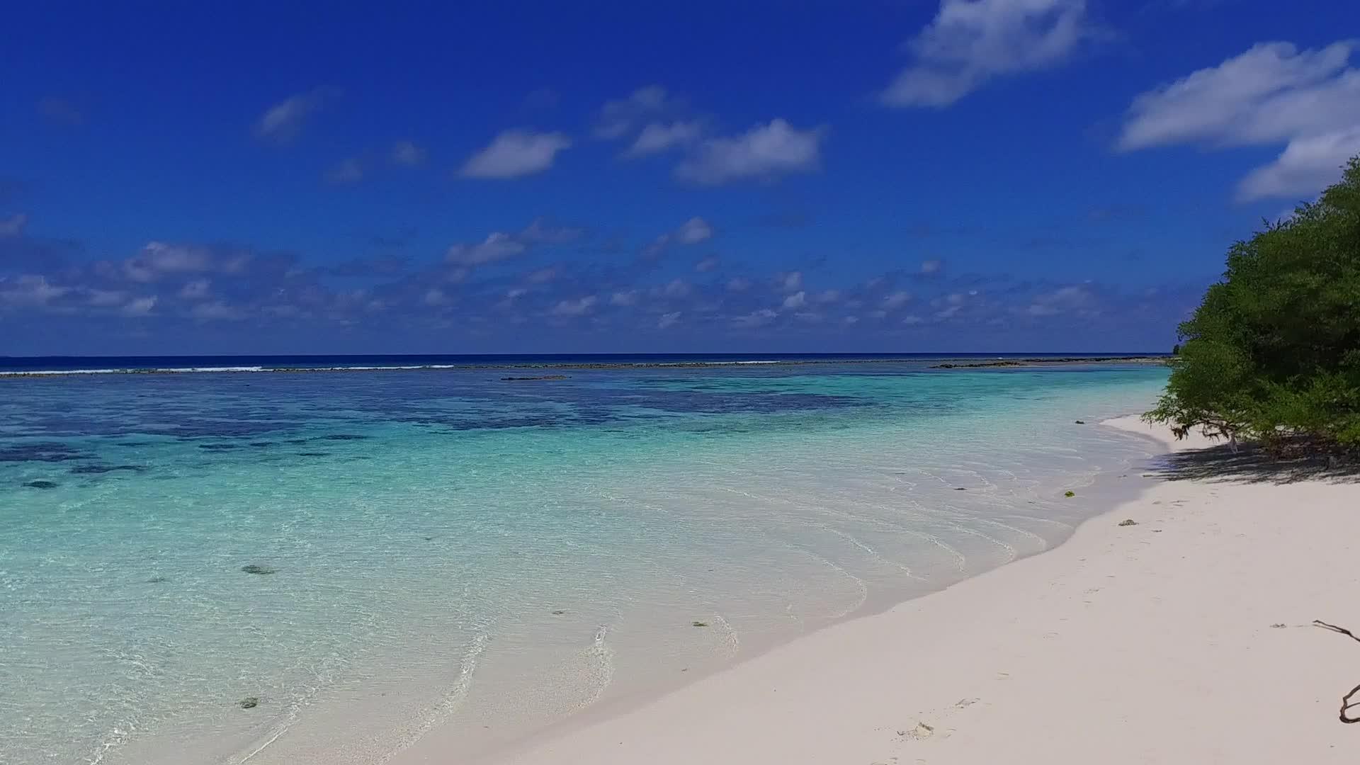 蓝色环礁湖和日出后白色海滩背景下美丽的海岸海滩野生生物视频的预览图