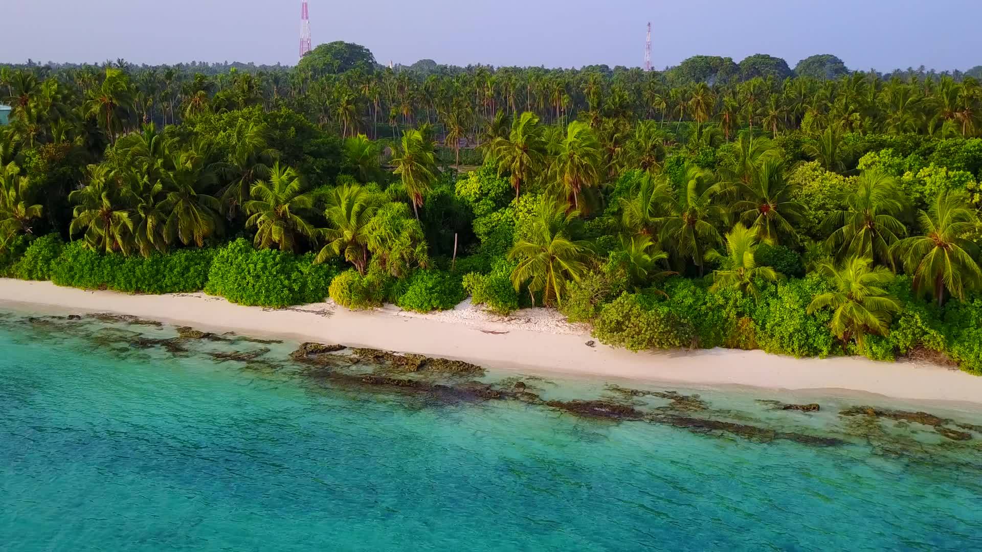 蓝海和棕榈树附近的白沙背景海滩节日阳光明媚海景完美视频的预览图