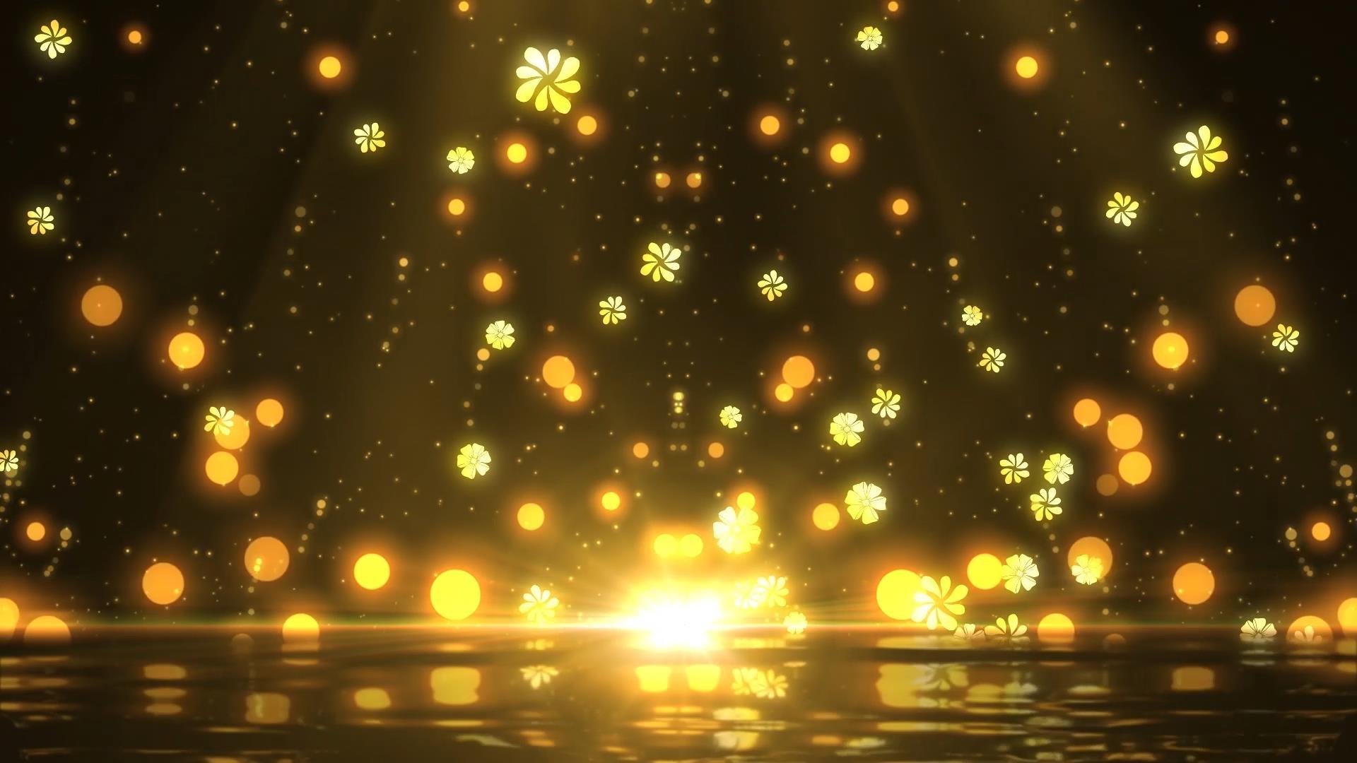 唯美温馨光效粒子花朵倒影动态视频背景元素视频的预览图