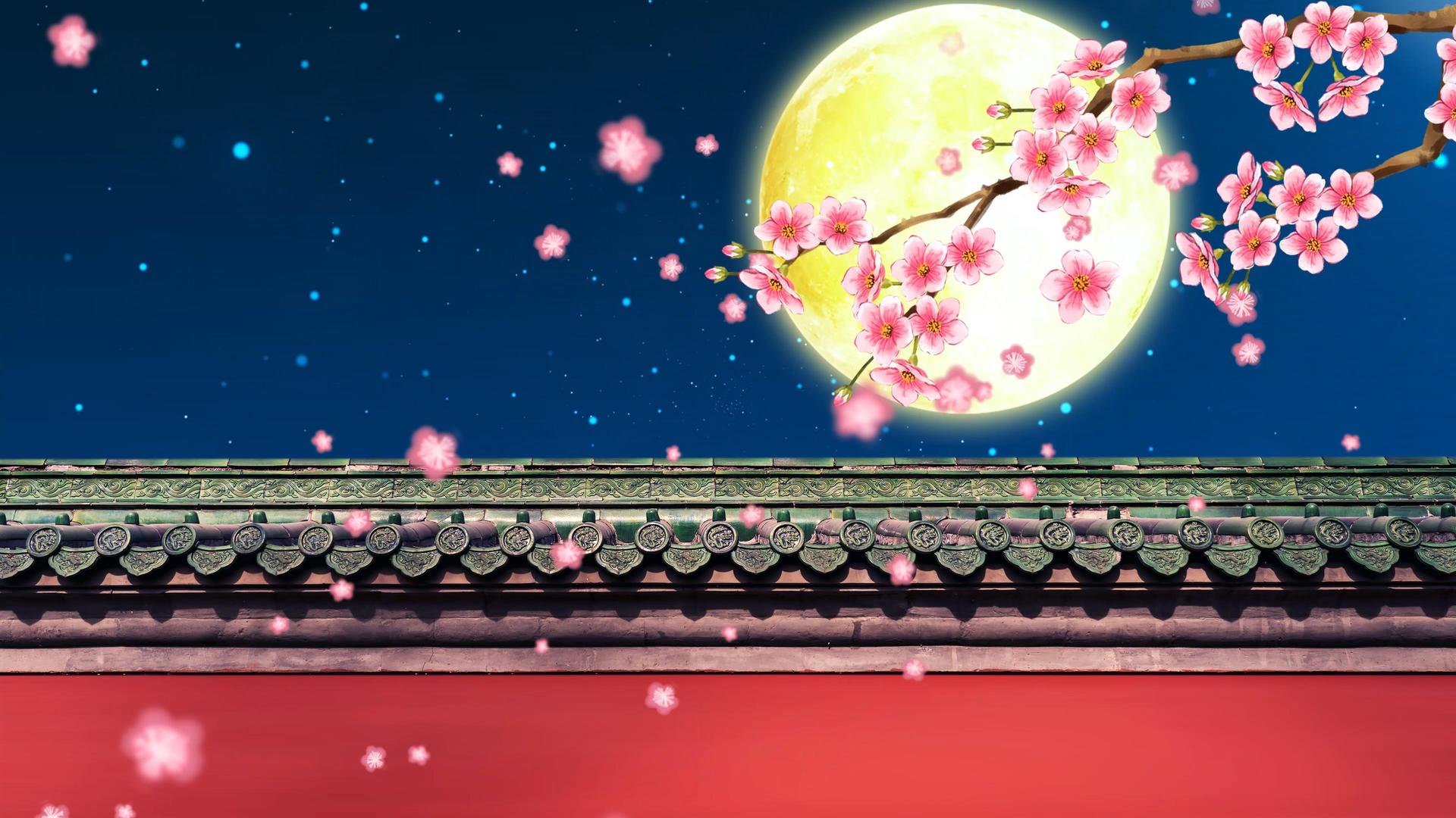 4K唯美中国风红墙梅花月亮背景视频视频的预览图
