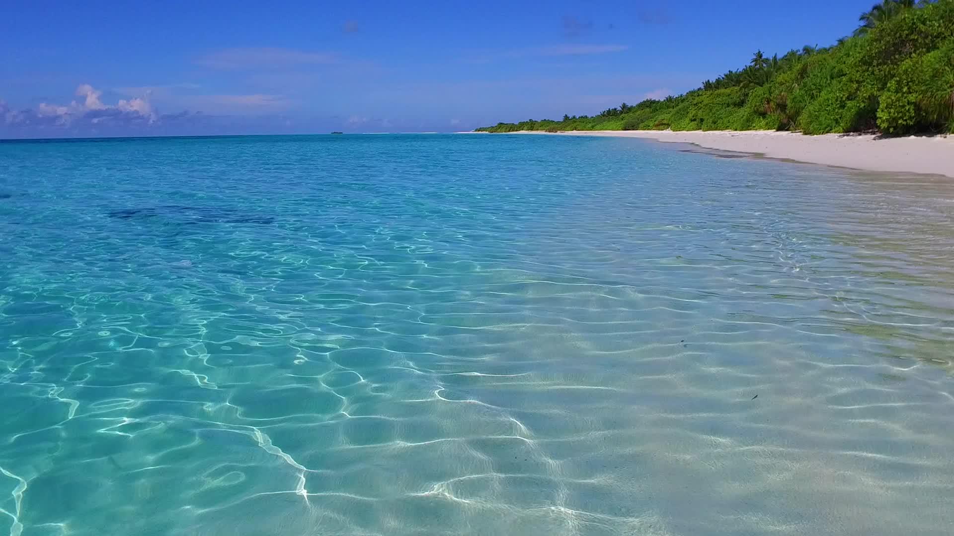 热带海岸海滩的白天风景在蓝海附近视频的预览图