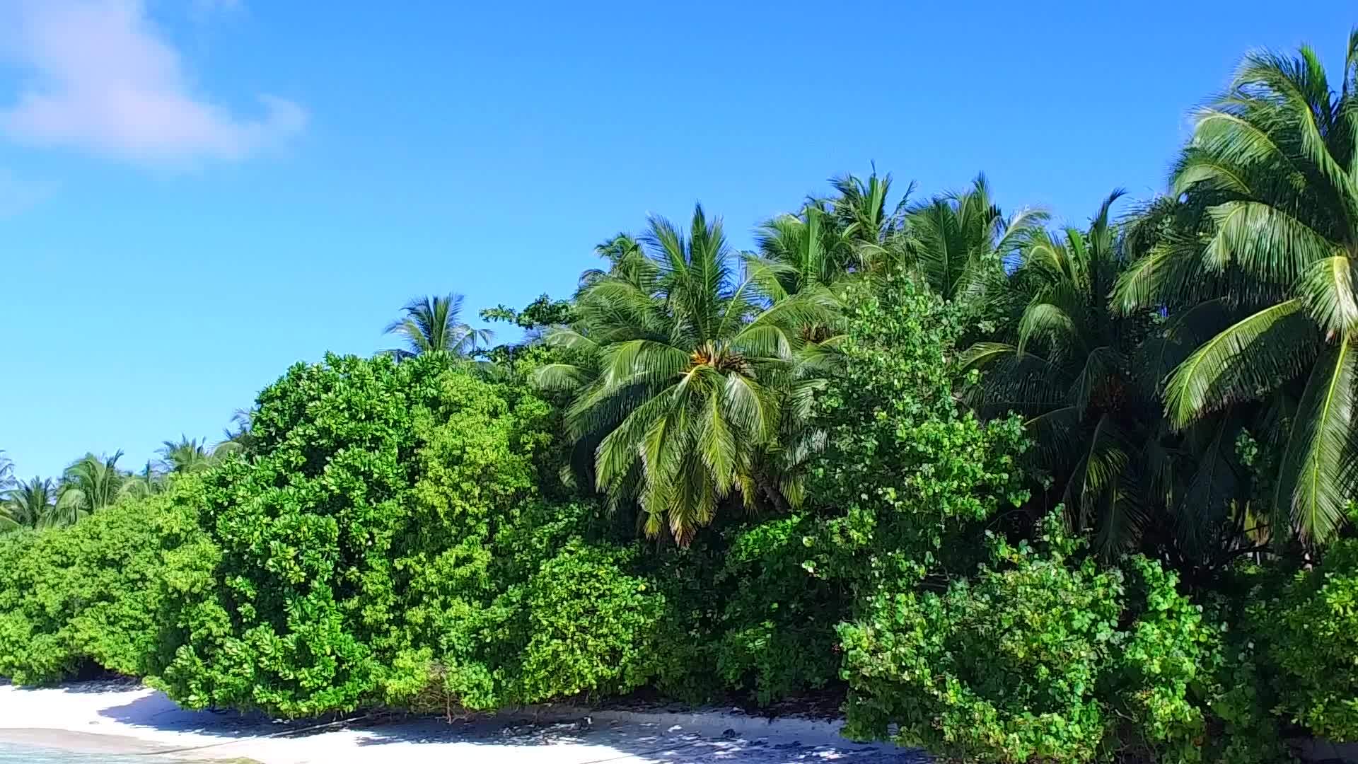 蓝海海滩之旅的温暖风景和沙洲附近干净的沙滩背景视频的预览图