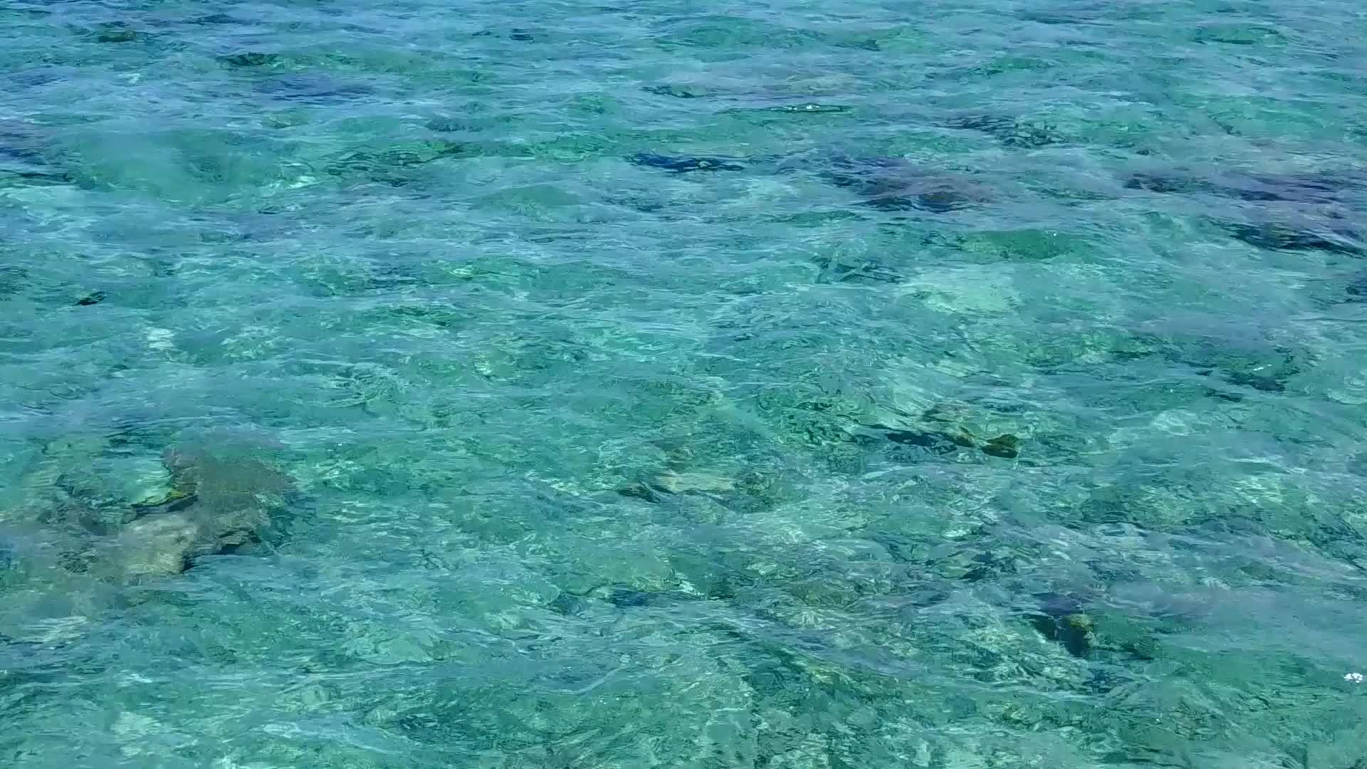 阳光明媚的蓝色海滨海滩探险旅游棕榈树附近有一个白色沙滩背景的蓝色海滩视频的预览图