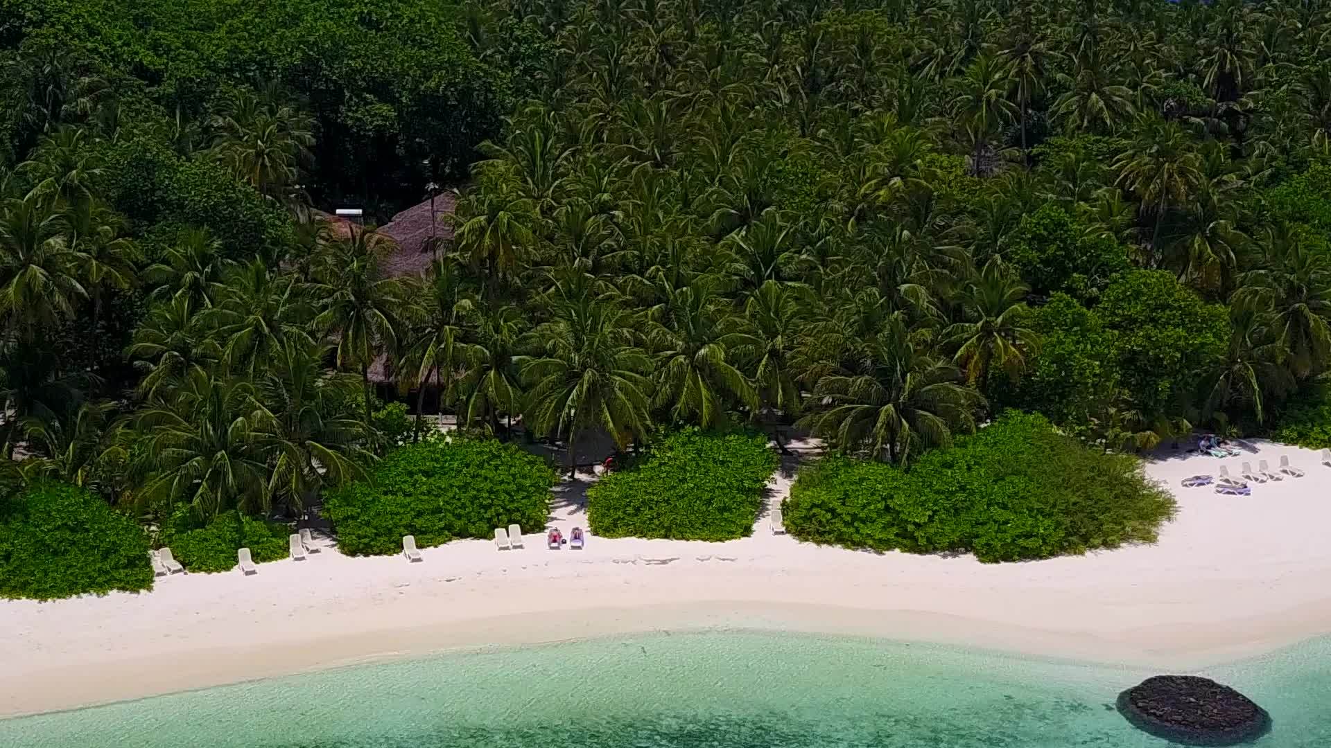 在蓝色的海洋中航行棕榈树附近有白色的沙子视频的预览图