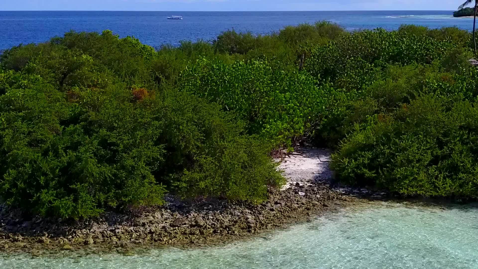 热带海滨海滩野生动物阳光旅游视频的预览图