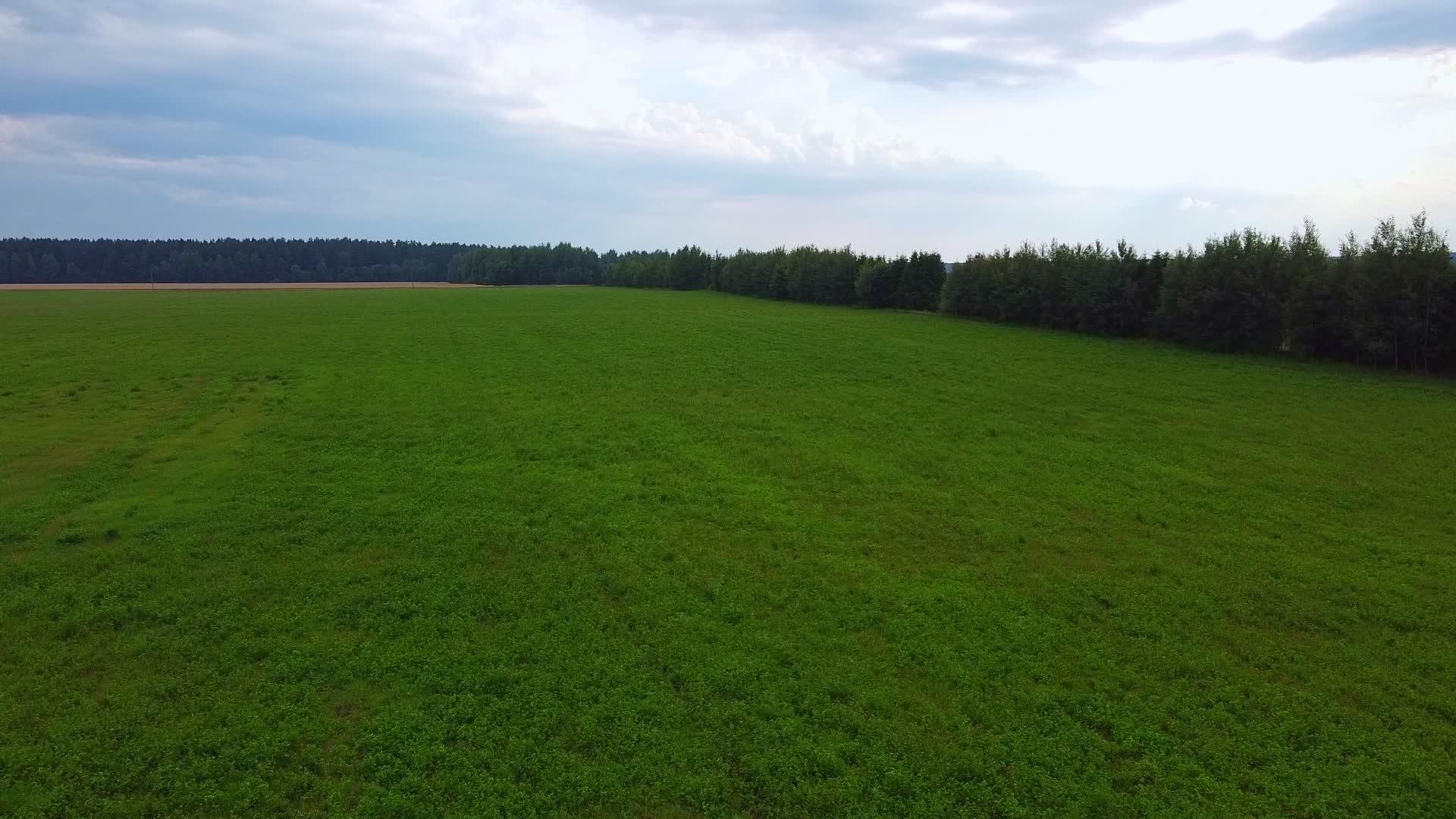 无人驾驶飞机飞越绿地农业概念视频的预览图
