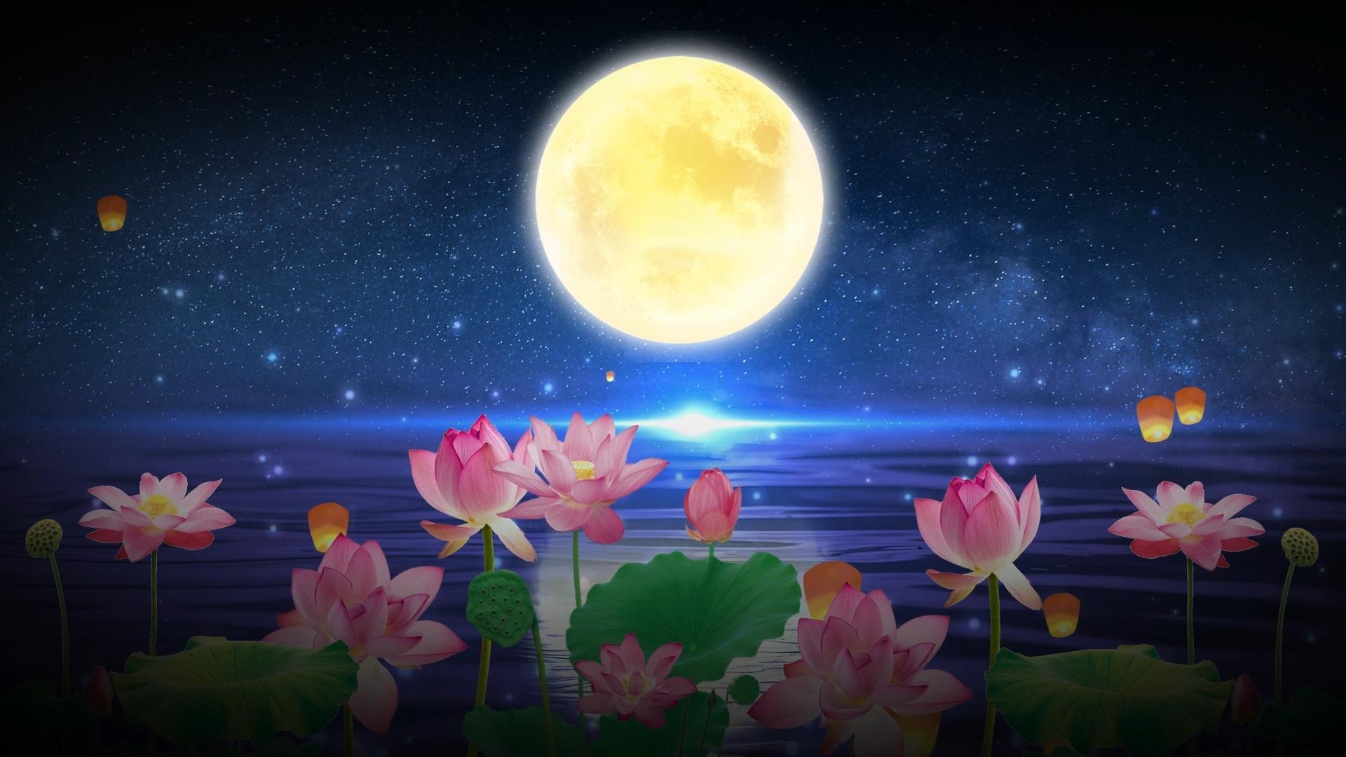 动态夜景湖面月光动态荷花背景视频素材视频的预览图