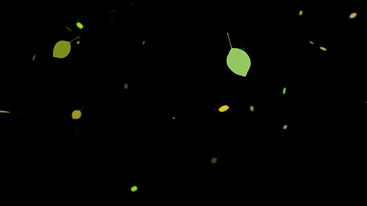 飘落的绿叶视频的预览图