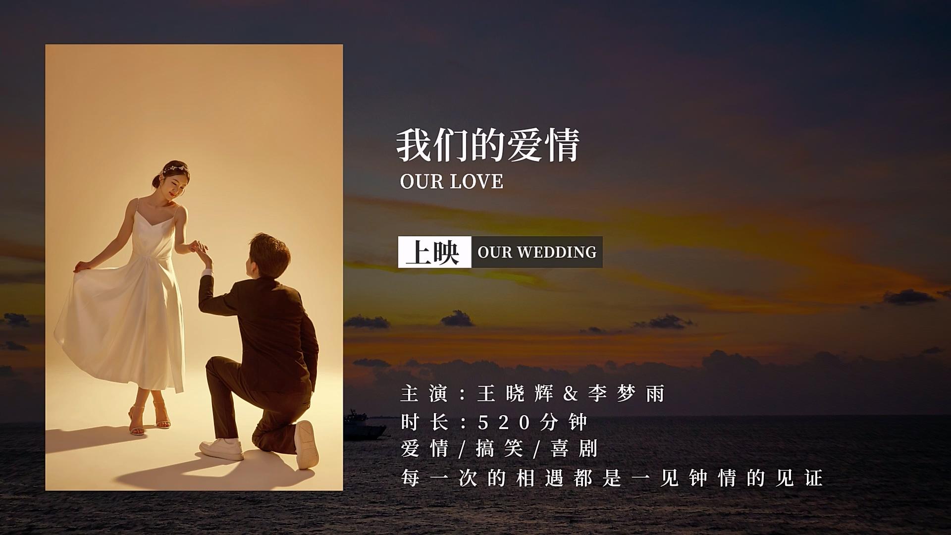 简洁美丽的婚礼爱情相册AE模板视频的预览图