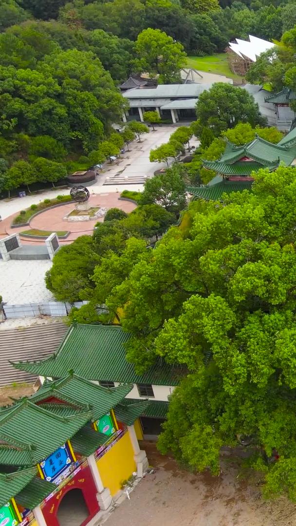 龙游石窟4A风景区竹林禅寺航拍集合集合视频的预览图